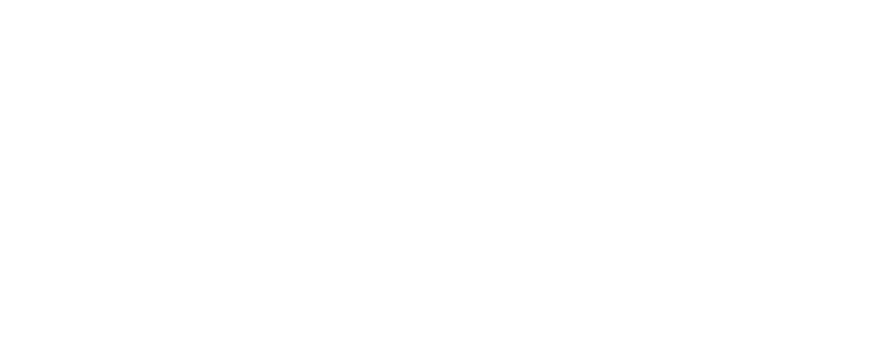 Nicolucci
